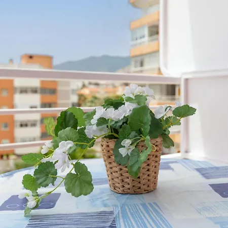 Apartment Saltillo Sol *